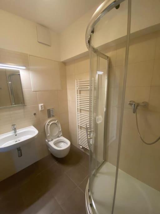 Garden Apartment Karolina Острава Экстерьер фото